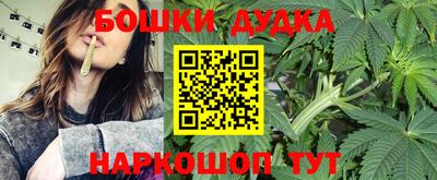 прущие грибы Будённовск