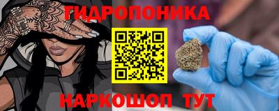 прущие грибы Будённовск