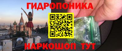 прущие грибы Будённовск