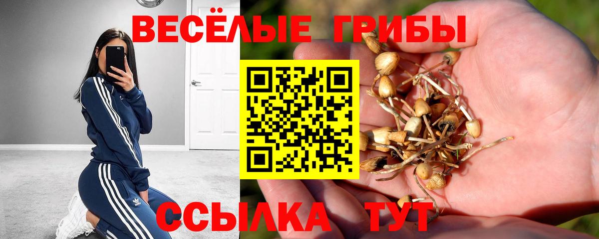 Галлюциногенные грибы мицелий  Вход с VPN  Нефтекамск  Псилоцибиновые грибы ЛСД 